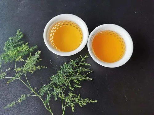 遇見興海茶業(yè)2020年人和五星