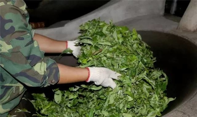 普洱茶崩盤(pán)后,他卻一條道走到&ldquo;黑&rdquo;!走著走著天就亮了!