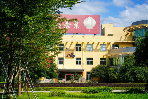 走進(jìn)安溪鐵觀(guān)音之鄉(xiāng),探訪(fǎng)八馬茶葉百年制茶世家