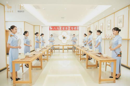 走進(jìn)八馬茶業(yè)安溪總工廠(chǎng) ,赴一場(chǎng)會(huì)回甘的約