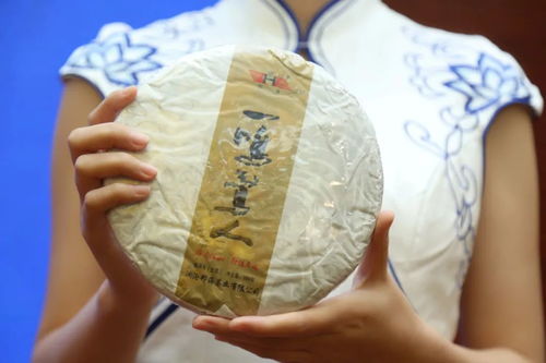 2020 茶匯冀都 茗香滿溢 石家莊專場品鑒會圓滿舉行