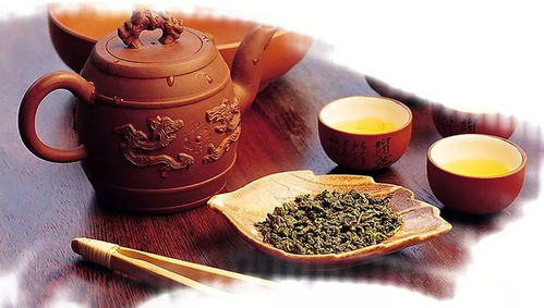 一餅茶葉竟比黃金還要貴 陳村茶博會(huì)曝光