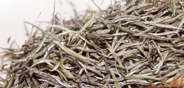 福鼎白茶如春茶業:如春牌、如初、有機白茶、