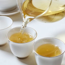 紅樓文普茶業丨綠色 創新 和諧 進取的行業領軍