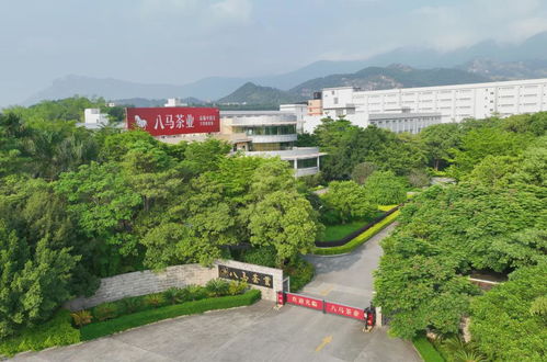 走進八馬茶業安溪總工廠 ,赴一場會回甘的約