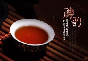 話(huà)春茶業(yè) 簡(jiǎn)素如茶的幸福