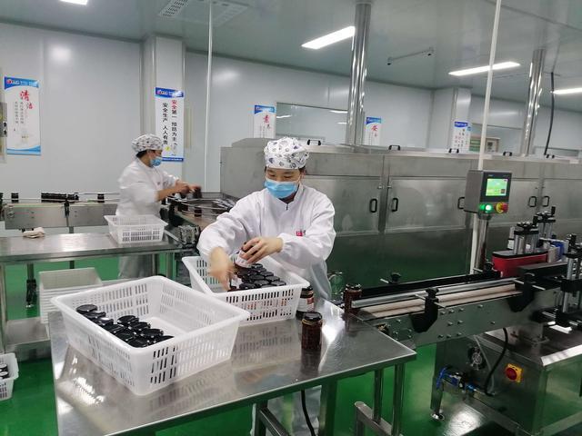 商南培育農產品深加工企業 延長農特產品產業鏈|茶葉|商南.