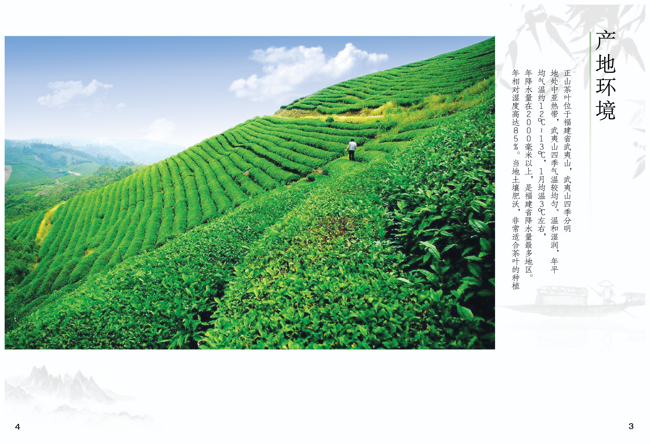 正山堂 一盞茶香，承傳千年